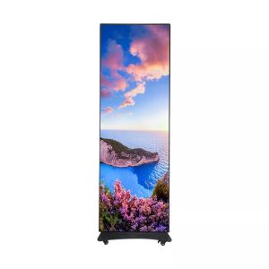 DMInteract DMP3 576 x 1920mm Poster Commercial Shopping Mall Indoor Poster LED Display Screen