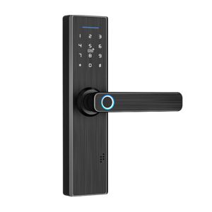 DMInteract SMART R9 Multiple Unlock Methods Smart Door Lock